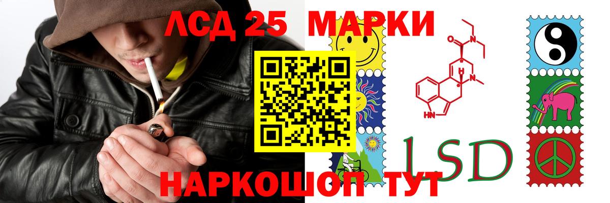 Зима  LSD-25 экстази кислота  Вход с VPN 
