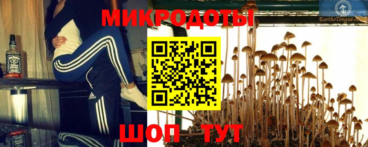 Галлюциногенные грибы мицелий  Галлюциногенные грибы ЛСД  купить закладку  Вход с VPN  Зима 