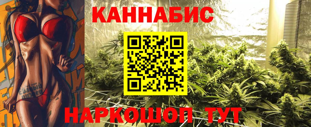 Бошки марихуана марихуана Зима